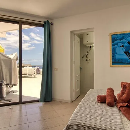 Penthouse With Magnificent Ocean Views, Jacuzzi, Pool, Nearby Beach In Tenerife South * Playa Fanabe