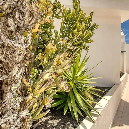 Apartment Penthouse With Magnificent Ocean Views, Jacuzzi, Pool, Nearby Beach In Tenerife South *